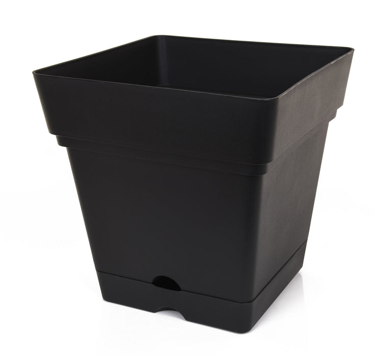 Mintra Home - Garden Pot With Wheels (14.5inW x 15inH) - Mintra USA mintra-home-garden-pot-with-wheels-14-5inw-x-15inh/indoor planter with wheels/indoor planter box with wheels/movable planters on wheels